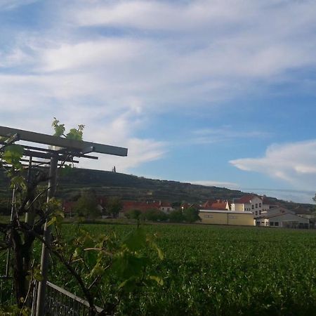 شقة Pansion Brda Rohrendorf bei Krems المظهر الخارجي الصورة
